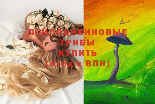 PSILOCYBIN Армянск