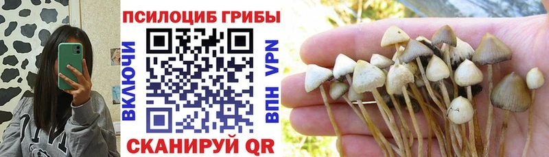 кракен зеркало  Георгиевск  Галлюциногенные грибы MAGIC MUSHROOMS 