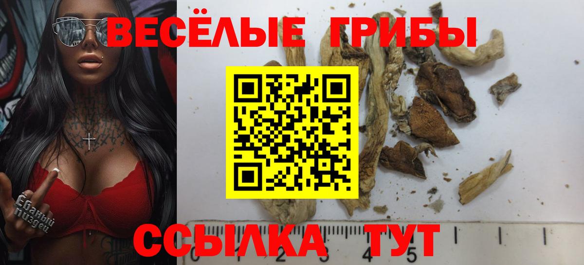 Псилоцибиновые грибы прущие грибы  Вход с VPN  купить наркотик  Георгиевск 